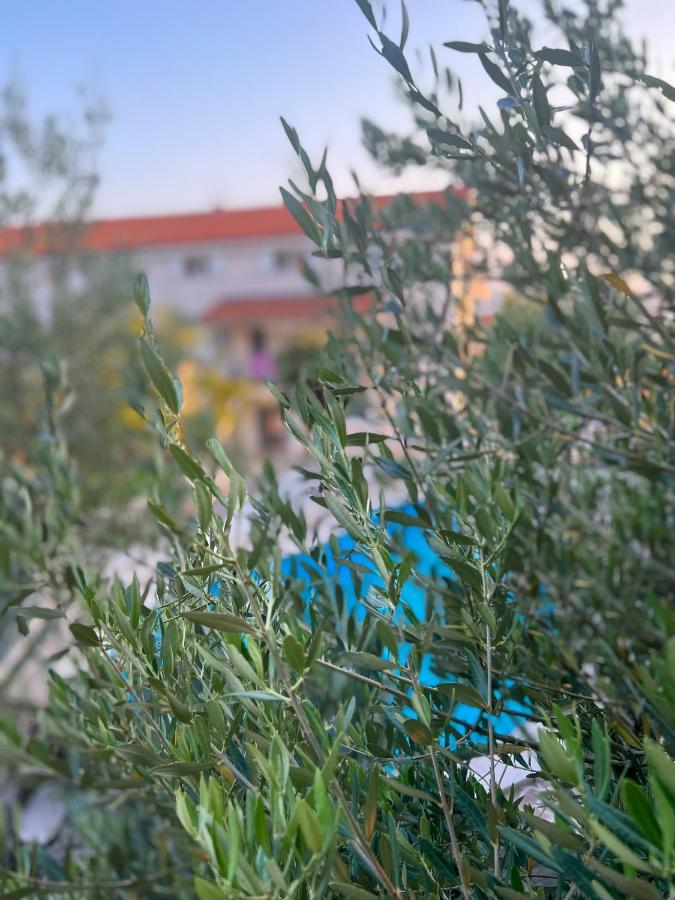 קריקווניצה Apartments Villa Klaudia - Adults Only מראה חיצוני תמונה
