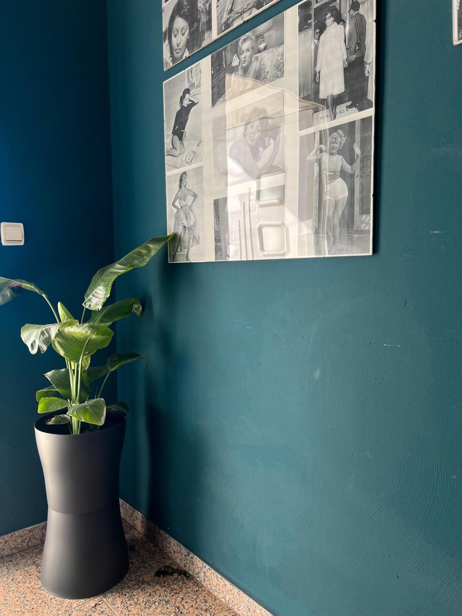 קריקווניצה Apartments Villa Klaudia - Adults Only מראה חיצוני תמונה
